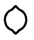 Disegno 509.70130